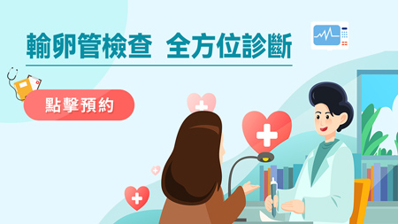輸卵管7.jpg
